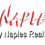 Real Estate Florida Naples