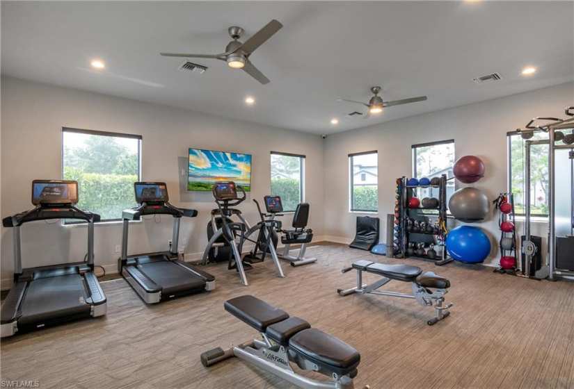 Exercise room with plenty of natural light, ceiling fan, and light colored carpet